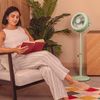 Ventilador De Pie Energysilence 250 Classicstyle Green Cecotec