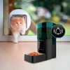 Comedero De Mascotas Automático Cecotec Pumba 6000 Purrfect Meal Smart 6l Wifi Negro