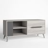 Mueble Tv Orly Color Roble Claro Y Gris, 1 Puerta 2 Cajones