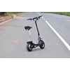 Citystreet 1000w/9ah Patinete Eléctrico (velocidad Máx. 25km/h, Autonomía Hasta 25km, Batería Extraíble, Manillar Desmontable) - Negro