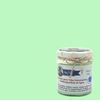 Pintura Muebles Al Agua Multisuperficie Acabado Mate Mint 250 Ml. Mary Paint