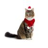 064234 Conjunto De Bufanda Y Sombrero Papá Noel Para Gatos Y Perros Pequeños