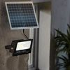 011100 Faro 100w Frío Led Energía Solar Con Crepúsculo Y Mando A Distancia 6500k