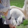 Guantes Quita Pelos Mascota 2-in-1 Inoovagoods Talla Unica Con Velcro Y Silicona