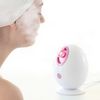 Sauna Facial Eléctrica Moispa Innovagoods