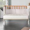 Colchón Cuna Nalui Baby One Hecho En España    60x120 Cm + Protector Tencel