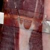 Arcos - Pinzas Para Jamón En Acero Inoxidable Con Anillas De Agarre