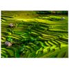 Panorama® Póster Arrozales Bali 100 X 70 Cm | Láminas Decorativas Pared | Impreso En Póster De Alta Calidad De 250gr | Cuadros Paisajes | Póster Naturaleza | Cuadros Decoración Salón Y Dormitorio