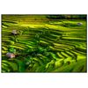 Panorama® Póster Arrozales Bali 100 X 70 Cm | Láminas Decorativas Pared | Impreso En Póster De Alta Calidad De 250gr | Cuadros Paisajes | Póster Naturaleza | Cuadros Decoración Salón Y Dormitorio