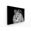 Panorama® Lienzo León Blanco Y Negro 70x50cm | Impreso En Lienzo Alta Calidad Con Bastidor | Cuadros Decoración Salón | Cuadros Para Dormitorio | Cuadros Lienzos Decorativos | Cuadros Modernos Zen