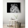 Panorama® Poster León Blanco Y Negro 50x35cm | Impreso En Papel De Alta Calidad De 250gr | Poster De Animales | Cuadros Decorativos De Animales | Cuadros Salón Modernos | Cuadros Dormitorio