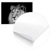 Panorama® Poster León Blanco Y Negro 50x35cm | Impreso En Papel De Alta Calidad De 250gr | Poster De Animales | Cuadros Decorativos De Animales | Cuadros Salón Modernos | Cuadros Dormitorio