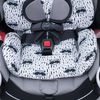 Funda Para Cojín Reductor De Silla De Coche Compatible Con Graco 4ever Jyoko Racoon Town