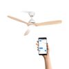 Ventilador De Techo 40w Silencioso Ø132 Cm, Blanco- Madera Natural- Con Luz- Wifi + Mando A Distancia, Create - Windlight Cup Dc