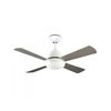 Ventilador De Techo Borneo Blanco Aspas Reversibles 106.6cm Motor Ac Leds-c4 Ve-0006-bla  Blanco 220-240v Ac