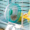 Jaula Hamster Casa Roedores Plataforma Rueda Ejercicio Comedero Bebedero Casera 36x27x25cm Azul