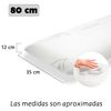 Almohada Viscoelastica, Funda Lavable Aloe Vera Con Cremallera (80cm)