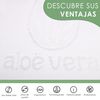 Almohada Viscoelástica Suave Y Relajante Aloe Vera Fresh 3d, Doble Cara (invierno Y Verano) 70 Cm