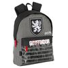 Mochila Junior Adaptable Harry Potter Bravery Perona 58684