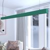 Lámpara Lineal Techo Colgante  Verde 1,5 M - Luz Cálida 2700k - Altura Regulable