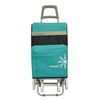 Carro Carrito De Compra Con Bolsa Termo Plegable Ligero 100x41x33cm 4 Ruedas Color Verde