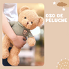 Oso De Peluche Con Jersey. Animal De Peluche Para Niños. Teddy Bear.