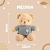 Oso De Peluche Con Jersey. Animal De Peluche Para Niños. Teddy Bear.