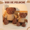 Oso De Peluche Con Jersey. Animal De Peluche Para Niños. Teddy Bear.