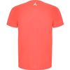 Camiseta Técnica Eco Manga Corta Dry Fit Tenis Y Padel