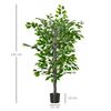 Planta Ficus Artificial De Peva Pe Cemento Ø15x135cm-homcom.verde