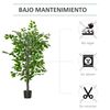 Planta Ficus Artificial De Peva Pe Cemento Ø15x135cm-homcom.verde