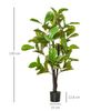 Árbol De Ficus Artificial De Peva Pe Cemento Ø15x130cm-homcom.verde