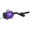 Secador Pelo Potencia Para Perros De Metal 40x16x20cm-pawhut. Púrpura