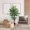 Ficus Artificial Con Maceta De Peva Homcom Ø15x150 Cm Verde