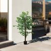 Ficus Artificial Con Maceta De Peva Homcom Ø15x150 Cm Verde