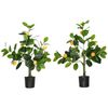 Conjunto De 2 Plantas Artificiales De Peva Homcom Ø12,5x60 Cm Verde