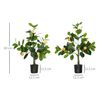 Conjunto De 2 Plantas Artificiales De Peva Homcom Ø12,5x60 Cm Verde