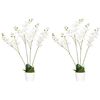 2 Plantas Artificiales De Peva Pe Homcom Ø16,5x75 Cm-blanco