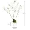 2 Plantas Artificiales De Peva Pe Homcom Ø16,5x75 Cm-blanco