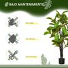 Ficus Artificiales De Peva Pe Cemento Ø15x130cm-homcom.verde