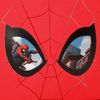 Estuche Spiderman Protector Tres Compartimentos