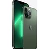 Iphone 13 Pro Max 256 Gb Verde Alpino Reacondicionado - Grado Satisfactorio ( C )