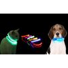 Collar Mascota Azul Led L