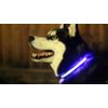 Collar Mascota Azul Led L