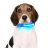 Collar Mascota Azul Led L