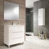 Mueble De Baño Con Lavabo, Espejo Y Aplique Led, Mod. Victoria 100x45 Cm  Acabado Blanco Mate 3 Cajones Con Patas