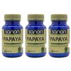 Pack 3  Papaya 100 Comprimidos  Sanon