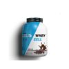 Proteína Suero Sabor Chocolate - 900 Gr - Wheycell 100% Protein Concentrada  Procell