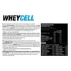 Proteína Suero Sabor Fresa - 900 Gr  - Wheycell 100% Protein Concentrada  Procell