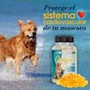 Petline - Omega 3, 6, 9 Para Perros Y Gatos | Protege Y Fortalece El Sistema Cardiovascular De Tu Mascota | Protege La Piel De Perros Y Gatos | Pelo Más Sano, Fuerte Y Brillante | 40 Unidades